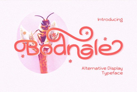 Bodnale: Strategic Typography for Distinctive Brand Positioning
